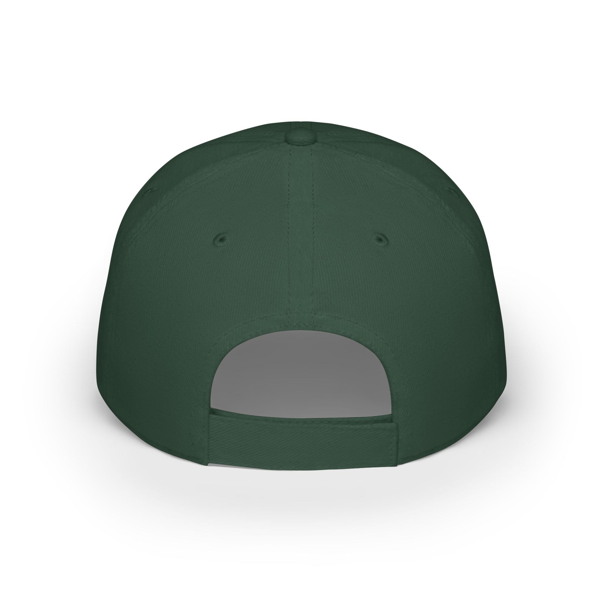 VA Low Profile Baseball Cap