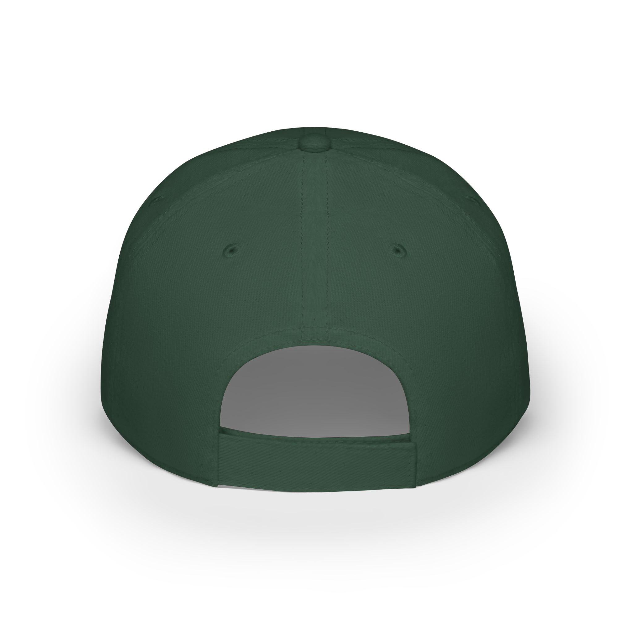 VA Low Profile Baseball Cap