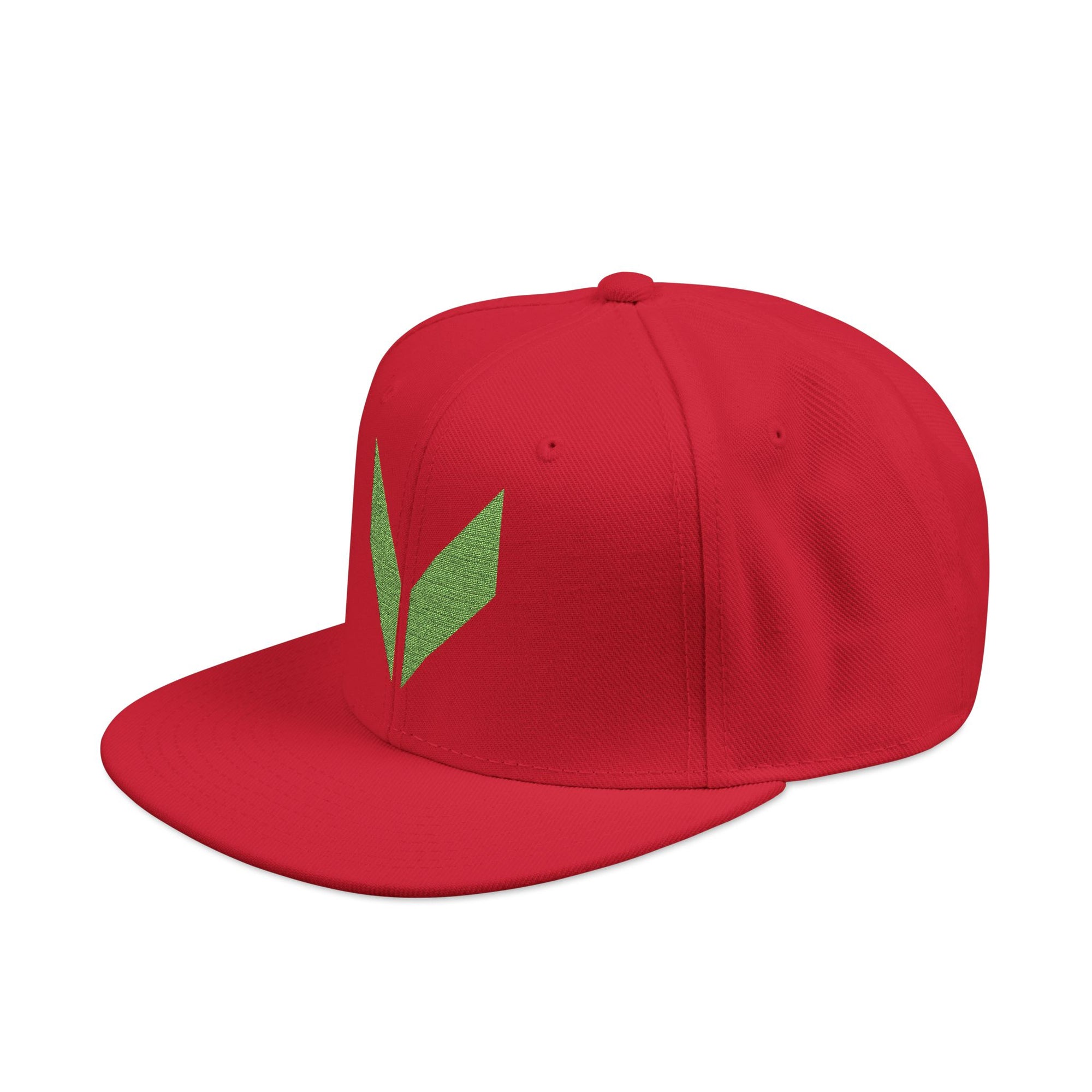 VA Snapback Cap