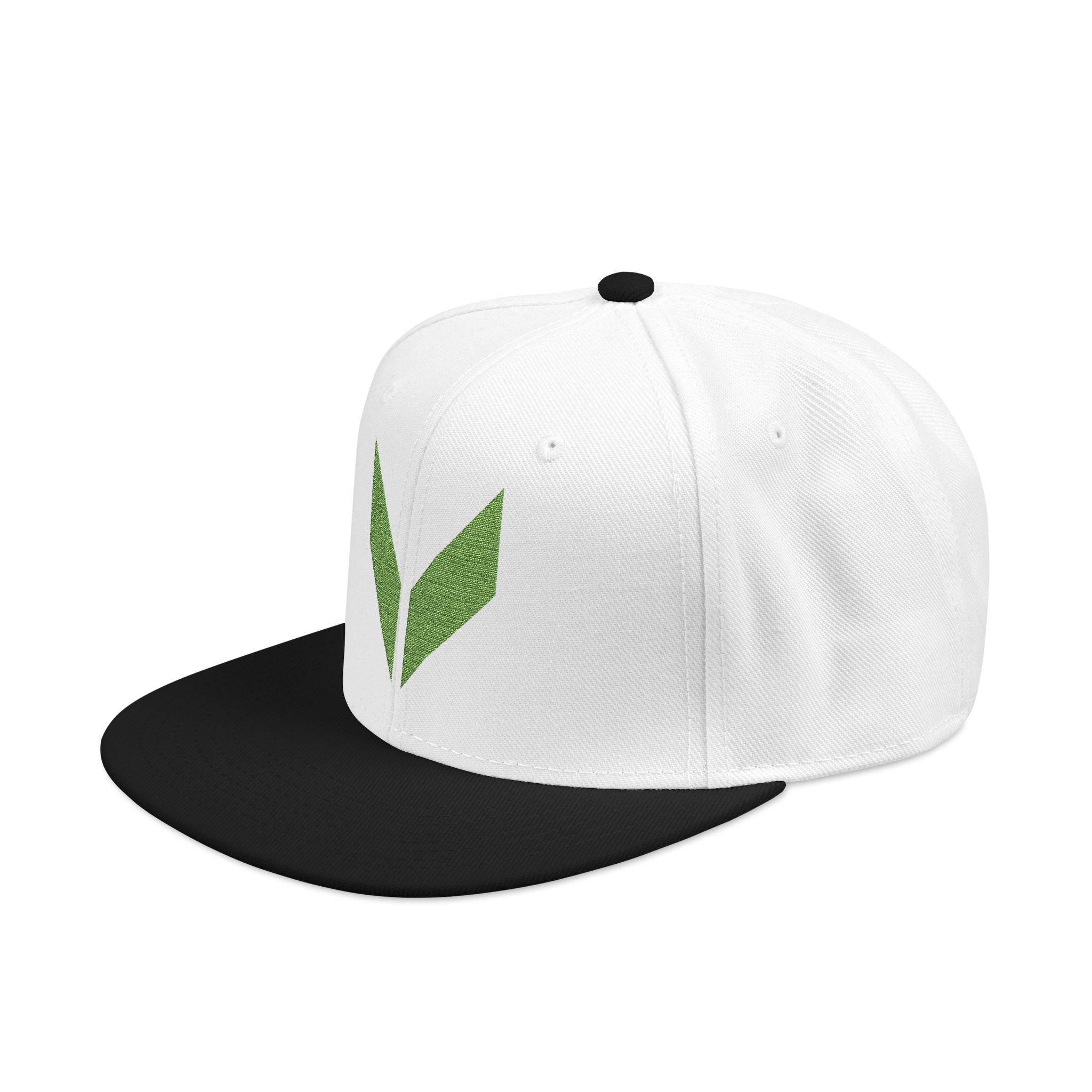 VA Snapback Cap
