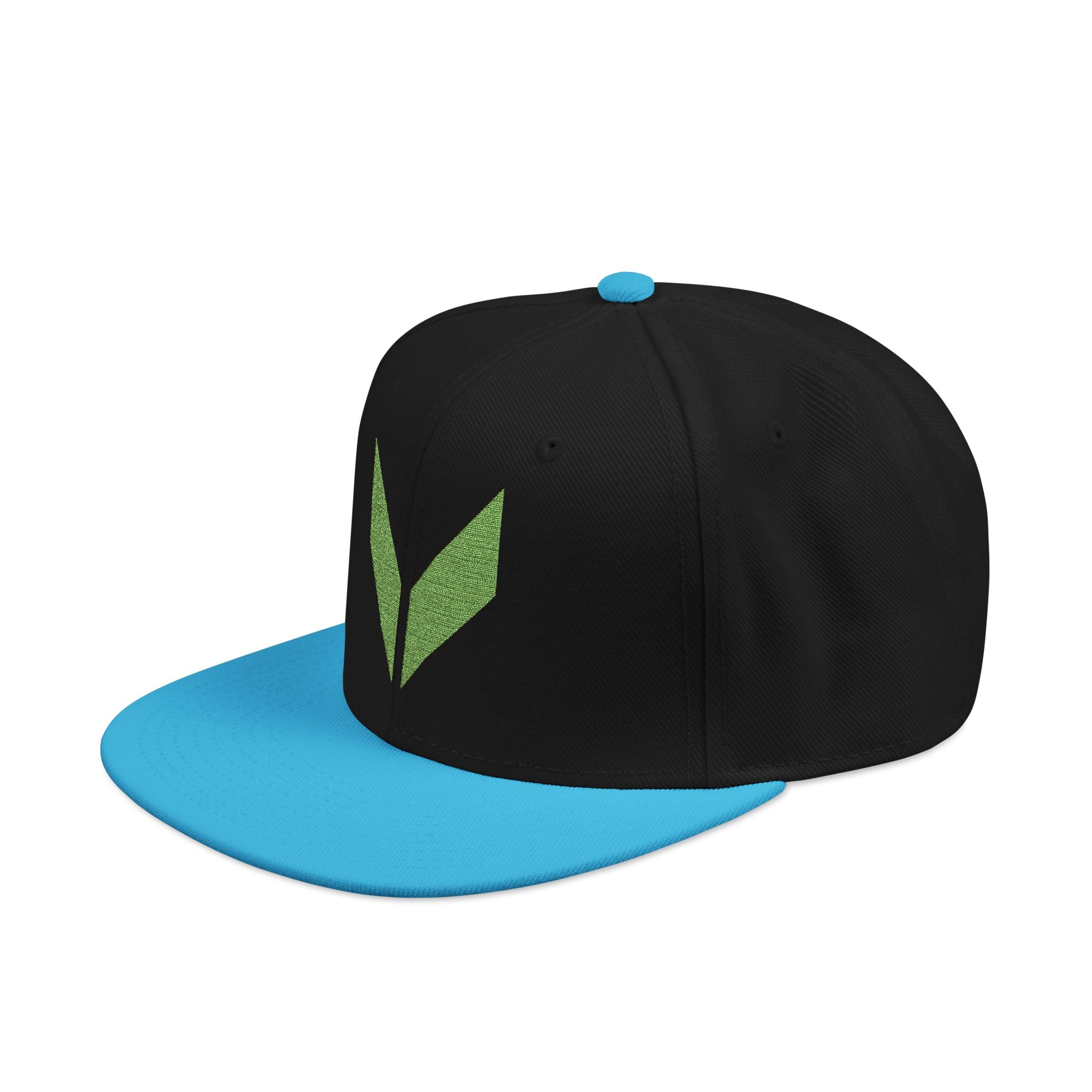 VA Snapback Cap