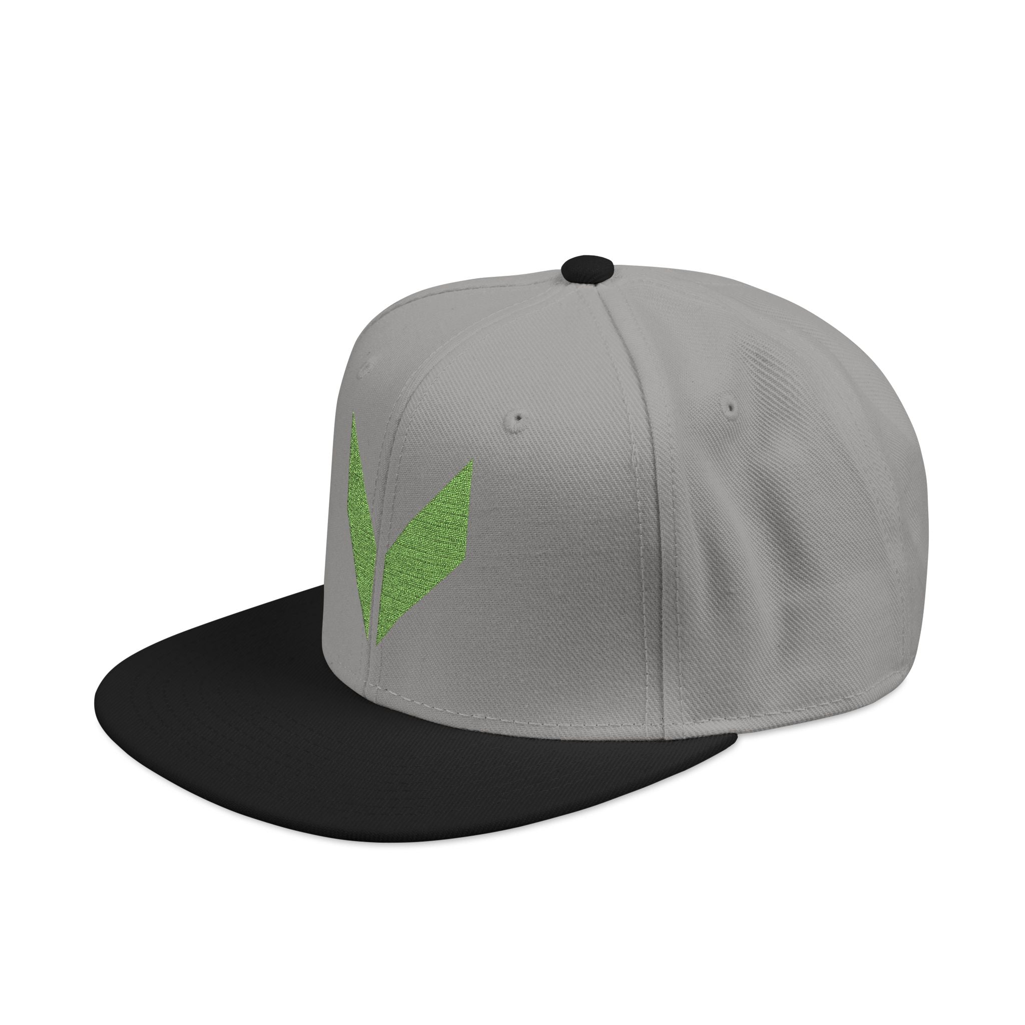 VA Snapback Cap