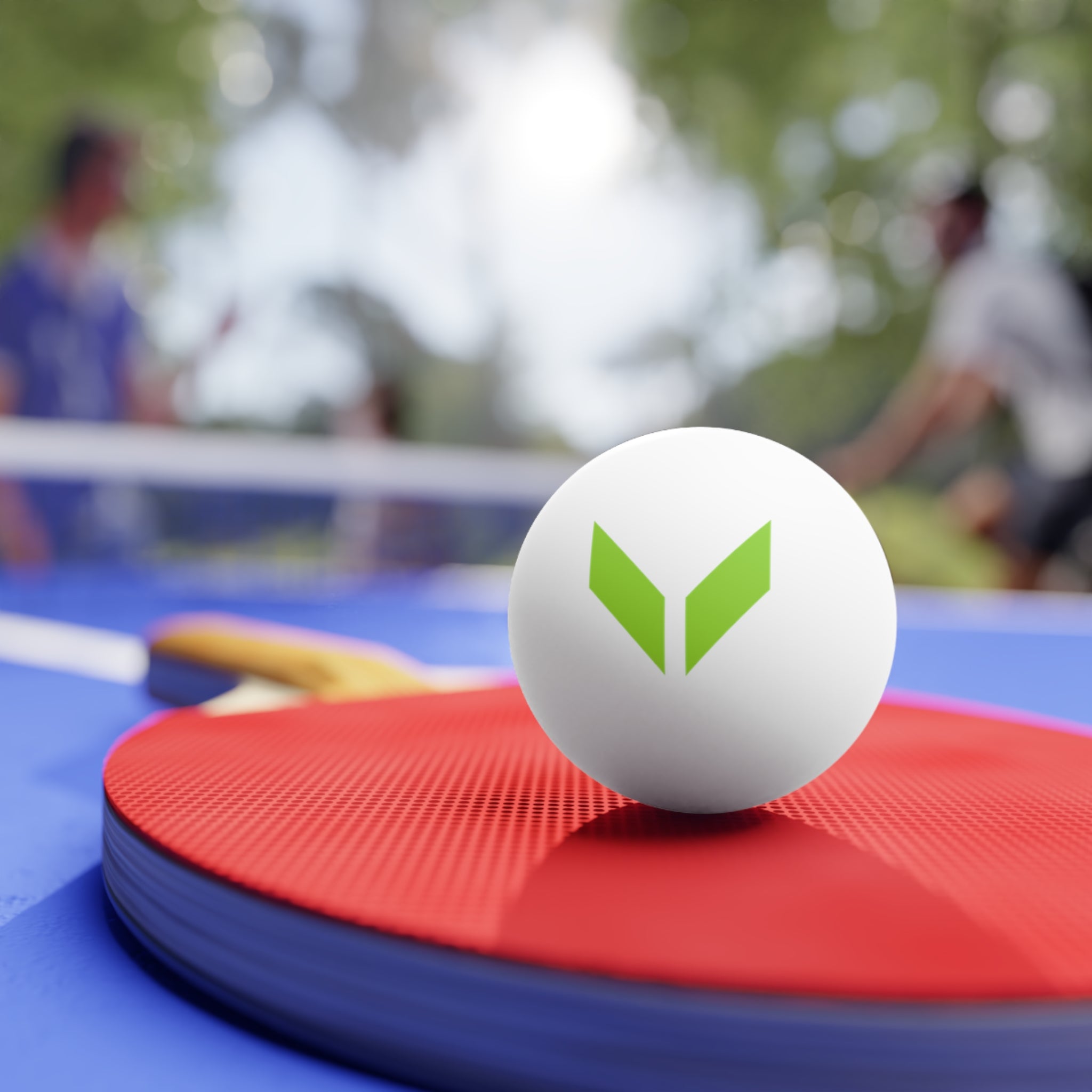 VA Ping Pong Balls, 6-Pack
