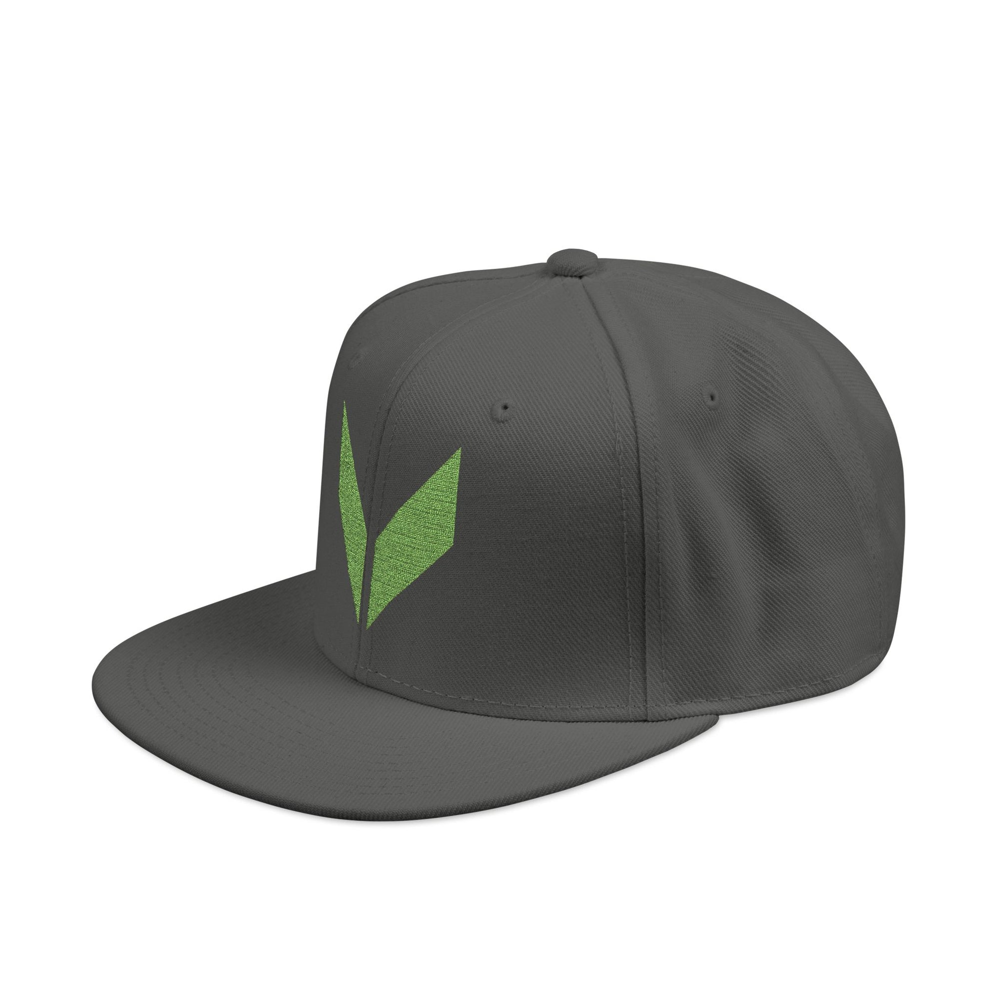 VA Snapback Cap