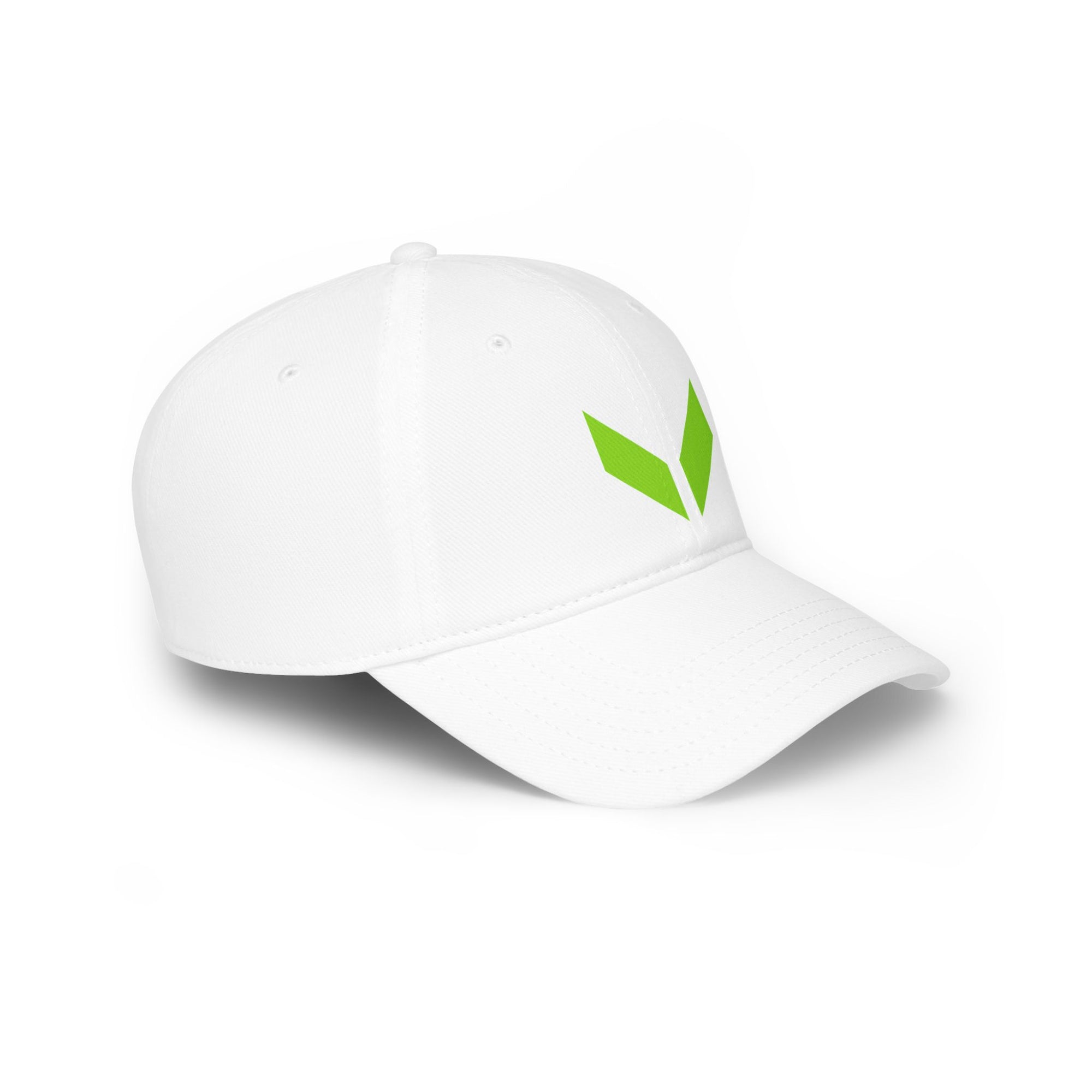 VA Low Profile Baseball Cap