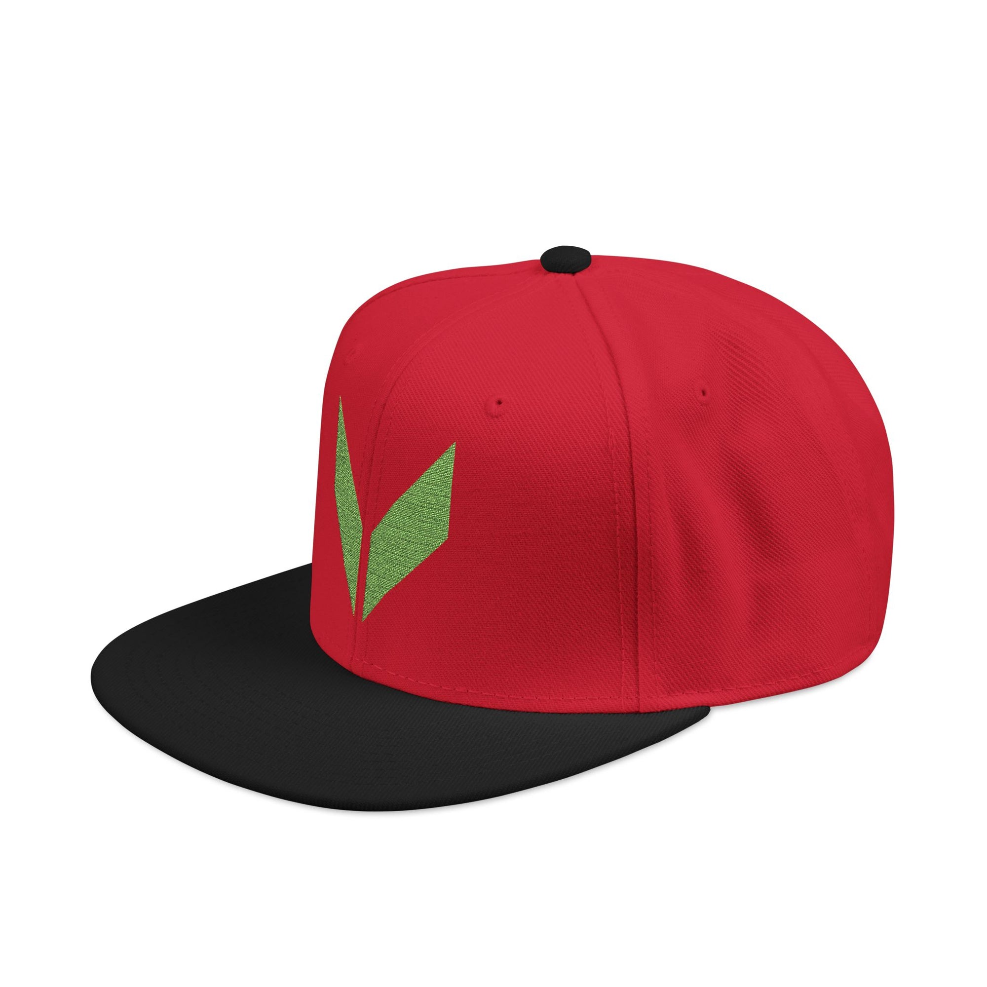 VA Snapback Cap