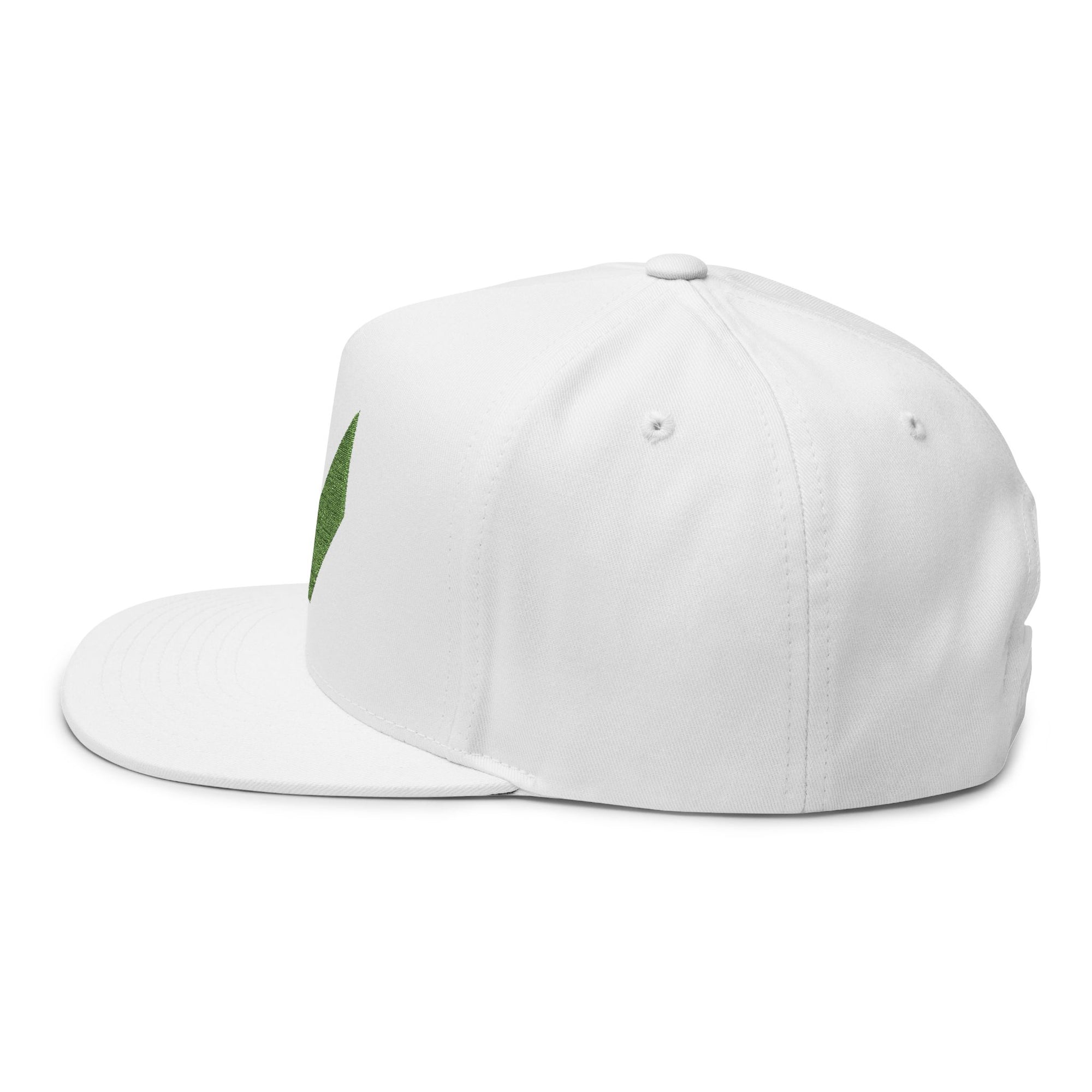VA Flat Bill Cap