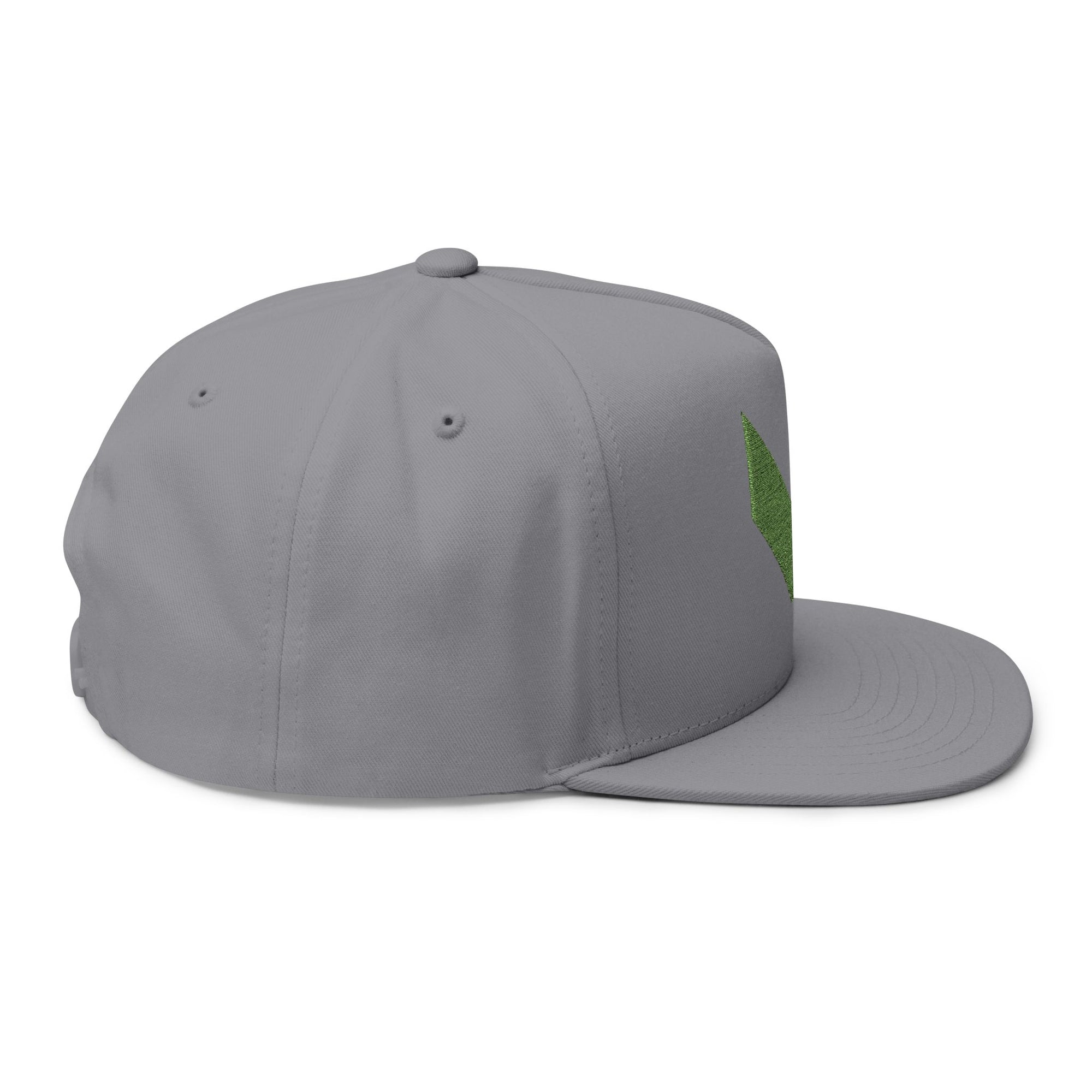 VA Flat Bill Cap
