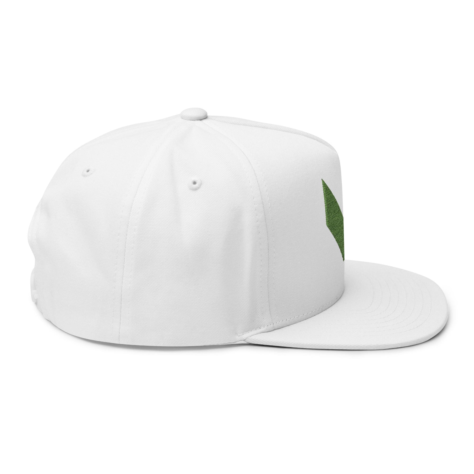 VA Flat Bill Cap