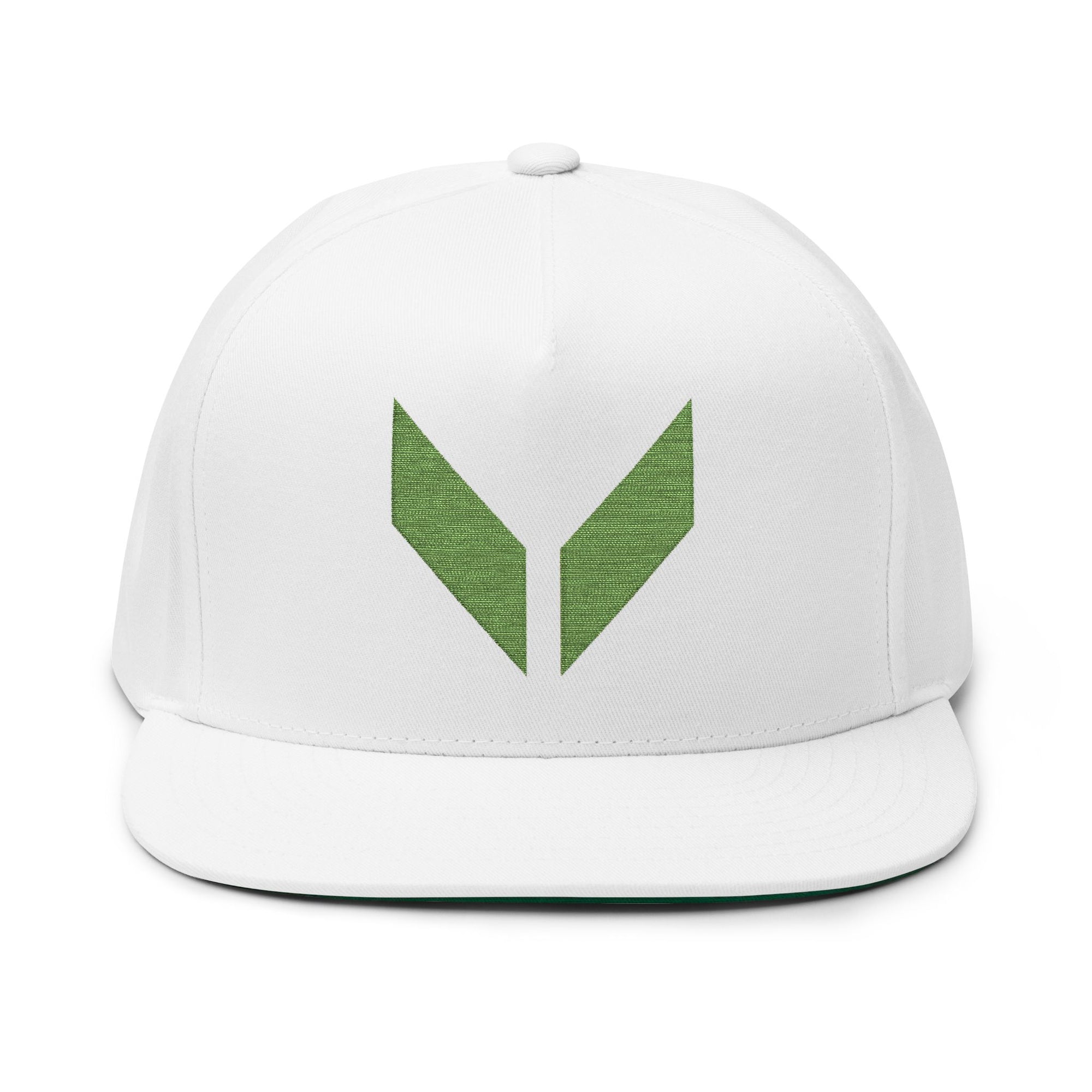 VA Flat Bill Cap