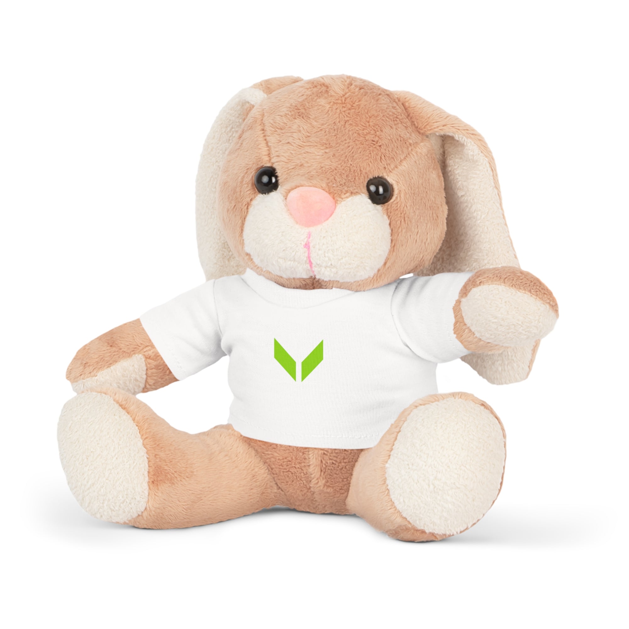 VA Adorable Plush Bear