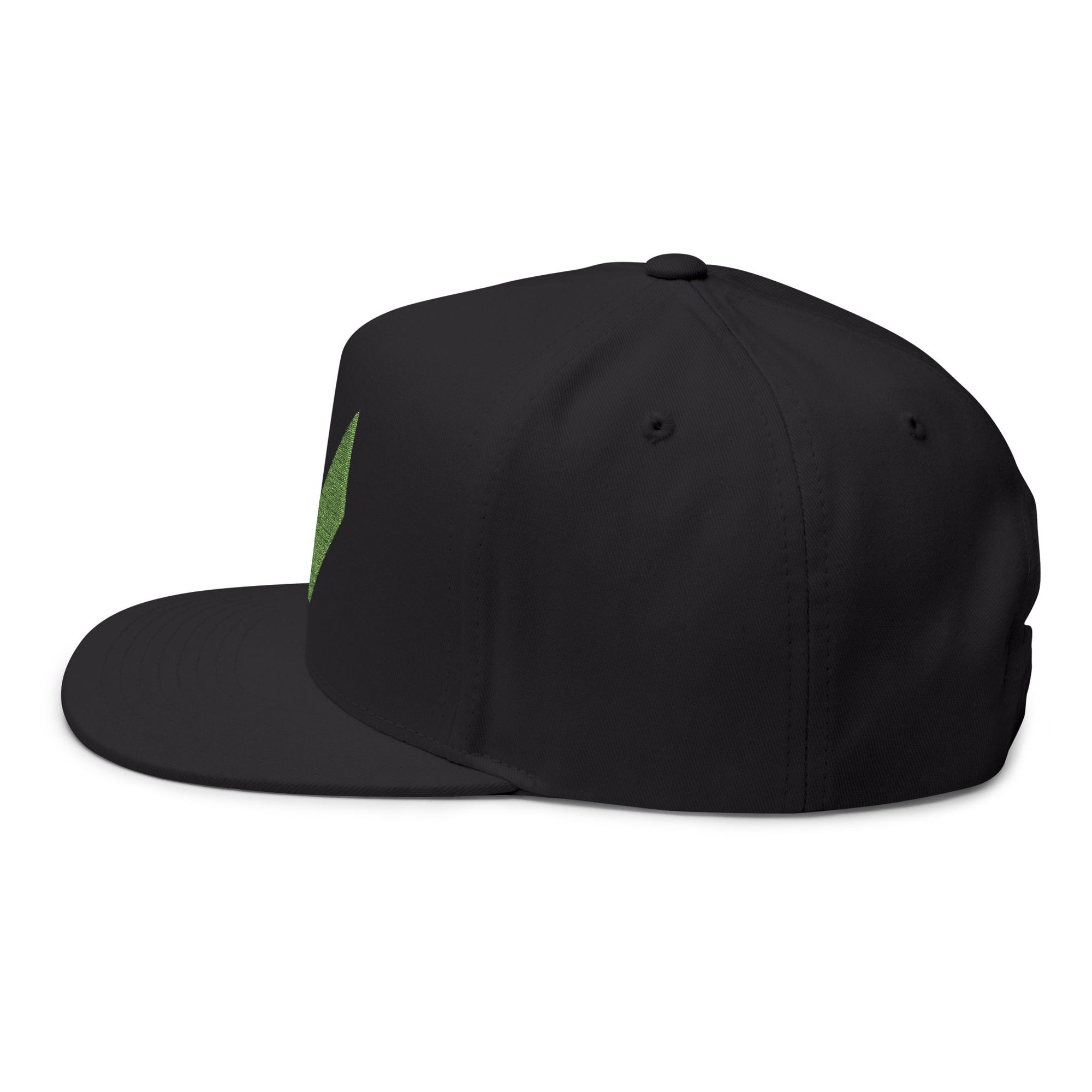 VA Flat Bill Cap