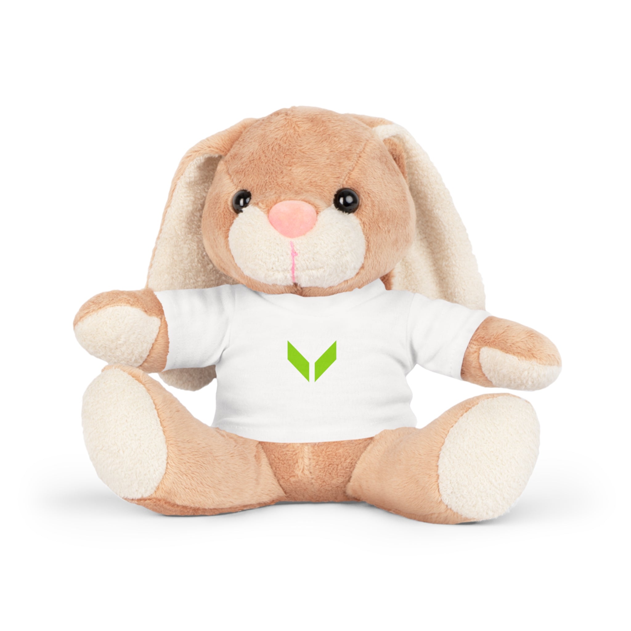 VA Adorable Plush Bear