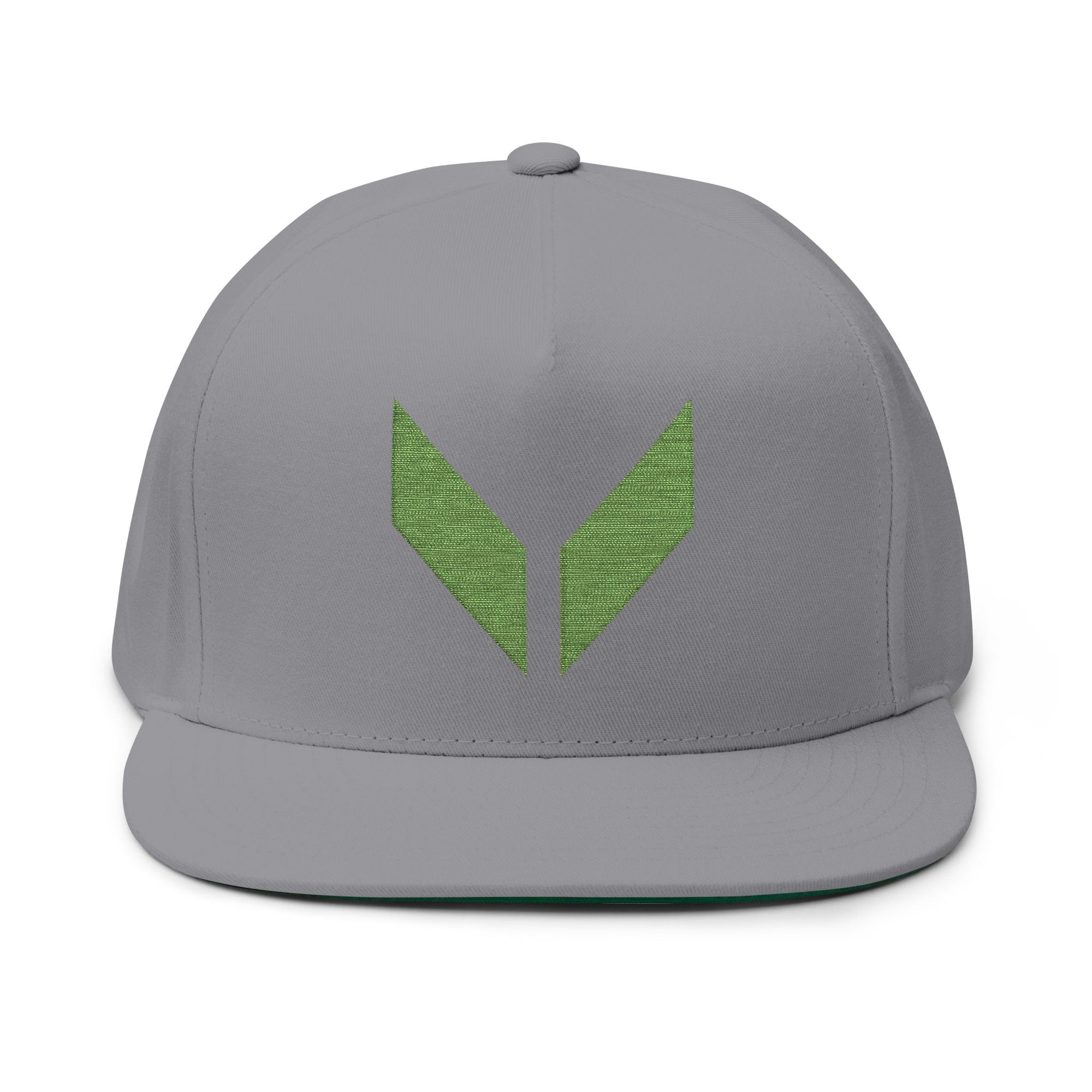 VA Flat Bill Cap