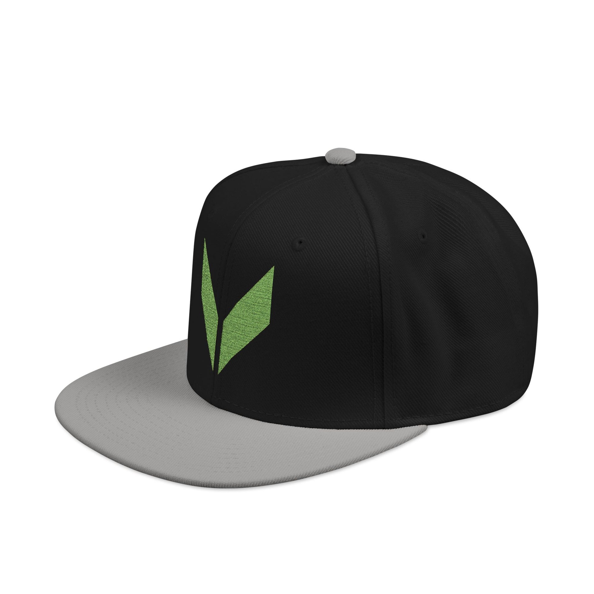 VA Snapback Cap