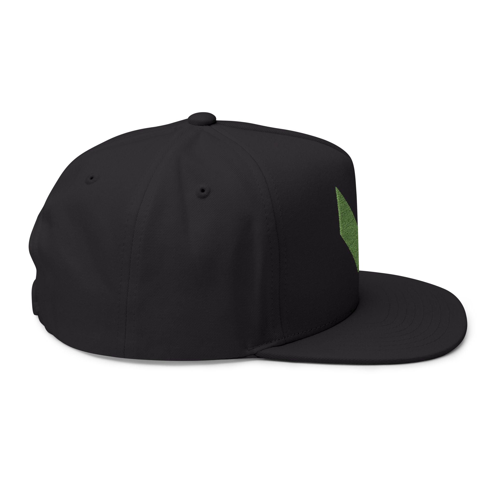 VA Flat Bill Cap