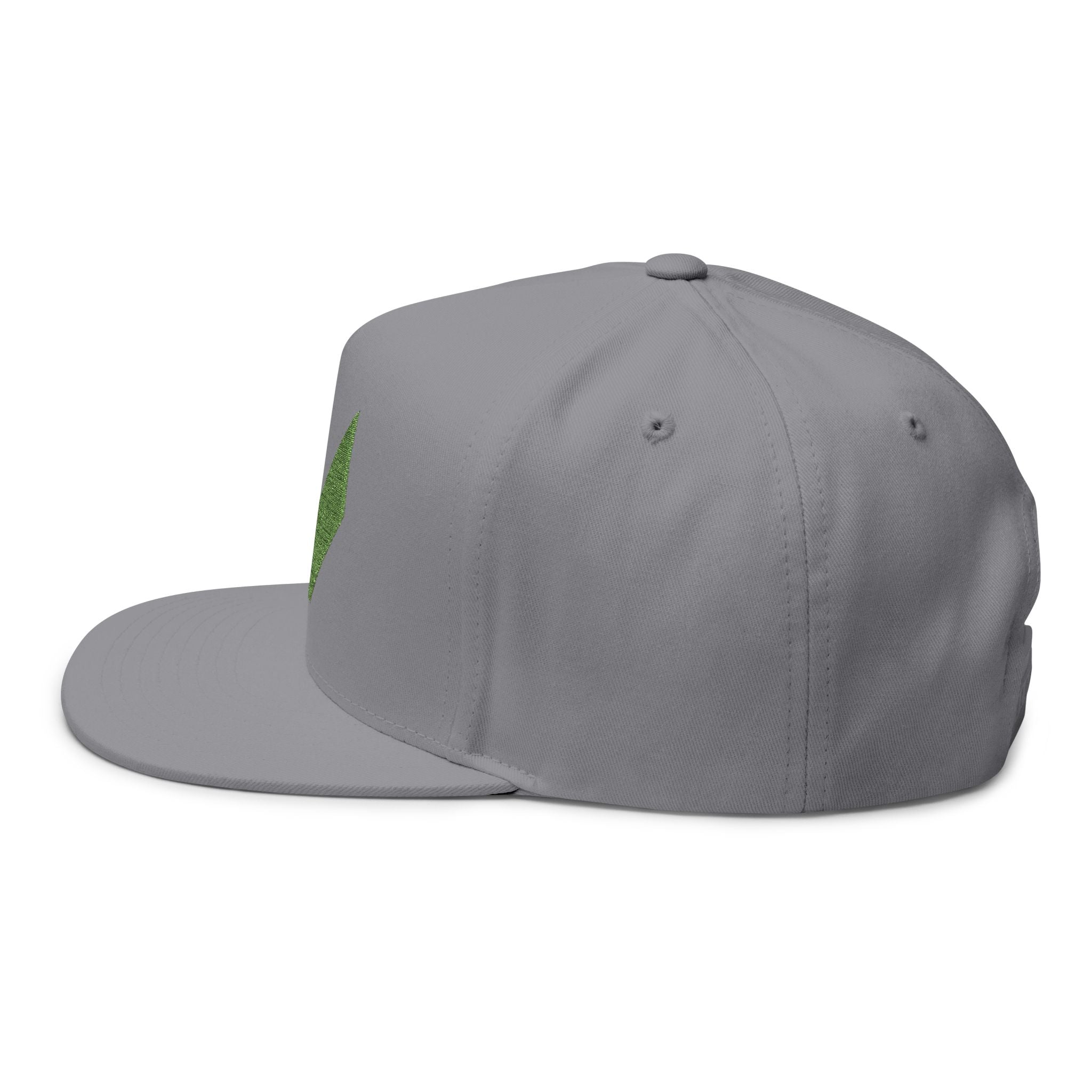 VA Flat Bill Cap